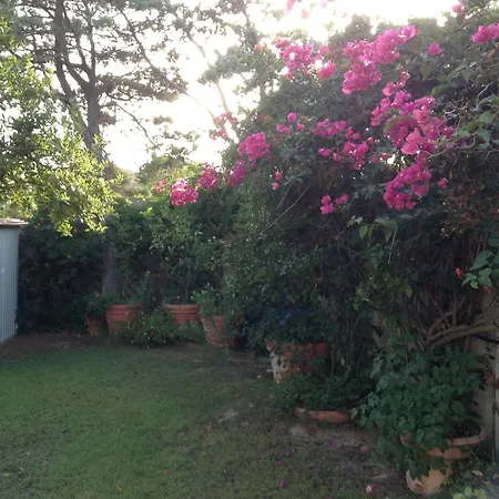 Deliziosa 150 Metri Dal Mare Tatil Evi *